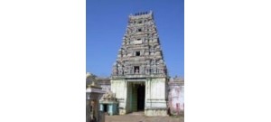 218. திருஎருக்கத்தம் புலியூர்